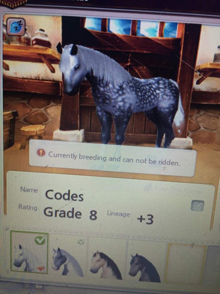Alicia online best horse